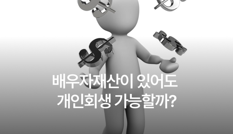 배우자재산